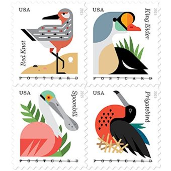 Coastal-Birds-Stamps-Sheet-of-20-Postcard-Forever-US-Postage-Stamps-USPS-0