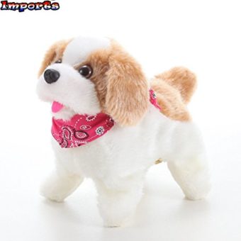 Cute-Little-Puppy-Flip-over-Dog-Somersaults-Walks-Sits-Barks-0-0