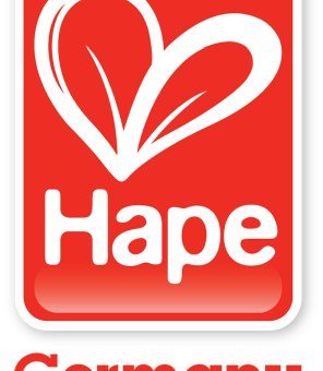 Hape-Early-Explorer-Maple-Wood-Building-Blocks-0-4