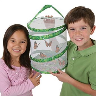 Insect-Lore-01010-Original-Butterfly-Garden-With-Voucher-0-0