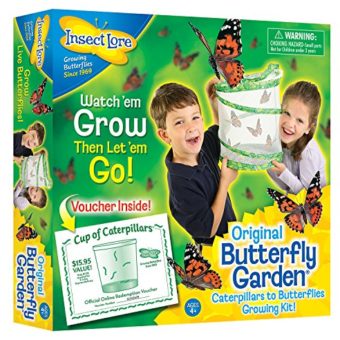 Insect-Lore-01010-Original-Butterfly-Garden-With-Voucher-0