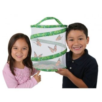 Insect-Lore-01010-Original-Butterfly-Garden-With-Voucher-0-4