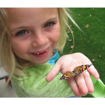 Insect-Lore-01010-Original-Butterfly-Garden-With-Voucher-0-5