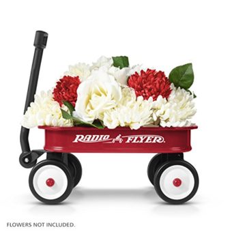 Radio-Flyer-Little-Red-Toy-Wagon-0-2