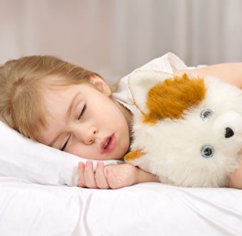 Toddler-Pillow-No-Pillow-Case-Needed-High-Thread-Count-Machine-Washable-Chiropractor-Recommended-Hypoallergenic-13x18-Made-in-USA-0-0