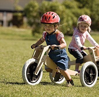 Wishbone-3-in-1-Original-Bike-0-3